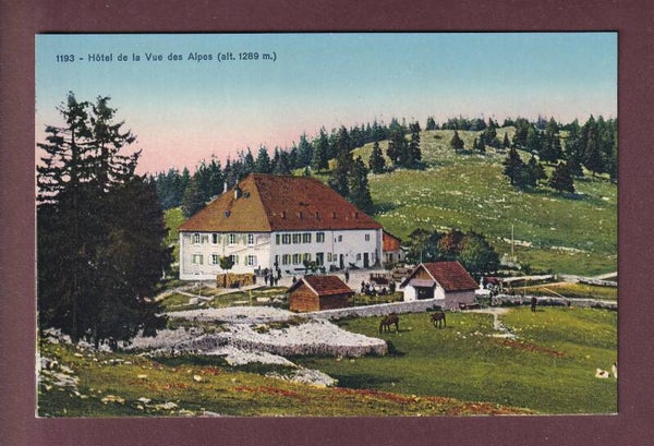Hôtel de la VUE DES ALPES