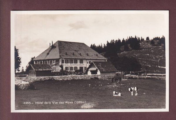 Hôtel de la VUE DES ALPES