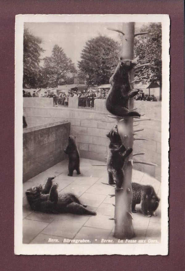 BERN - Bärengraben - 1933