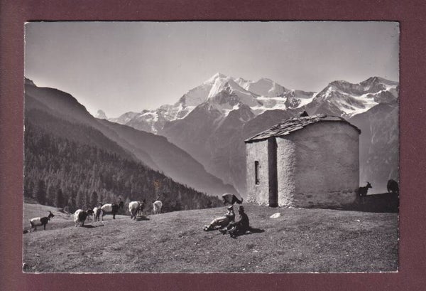 HANNIG-ALP ob Grächen - Matterhorn - Ziege - 1965
