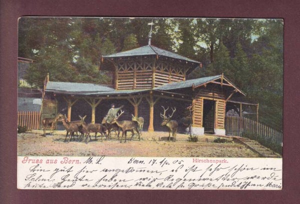 Gruss aus BERN - Hirschenpark - 1905
