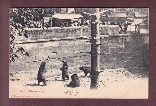 BERN - Bärengraben - Leute - 1904