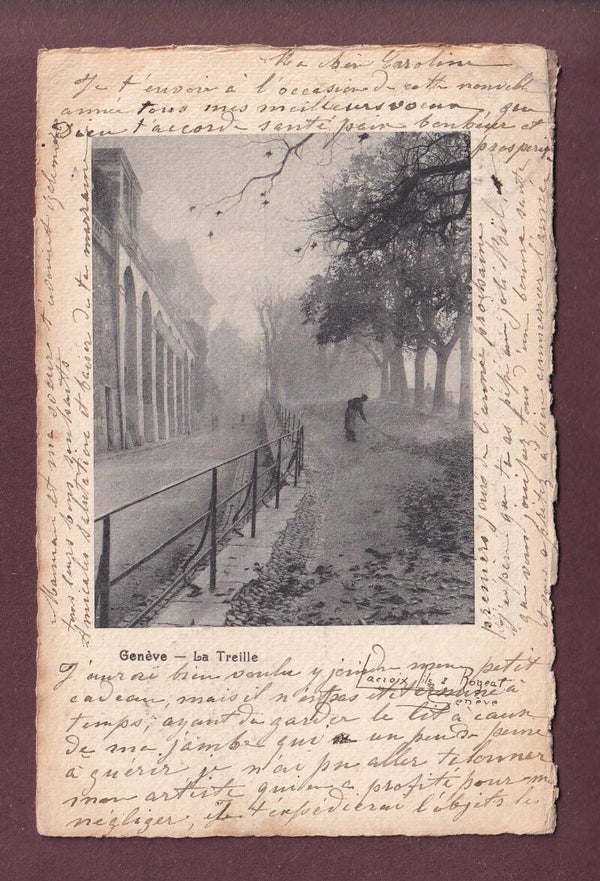GENEVE - La Treille - 1902 // pli d'angle //