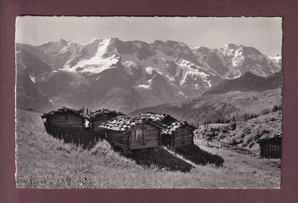 Bei MÜRREN - Gletscherhorn - Ebnefluh