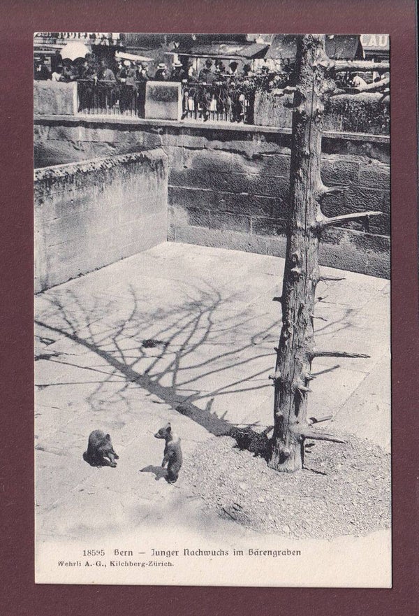 BERN - Bärengraben