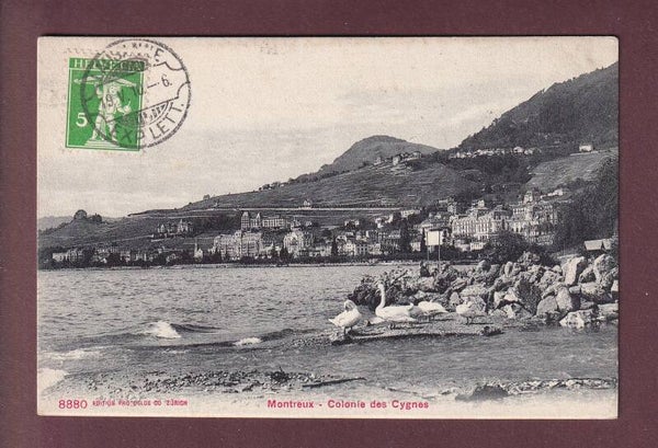 MONTREUX - Colonie de Cygnes - 1910