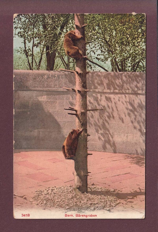 BERN - Bärengraben