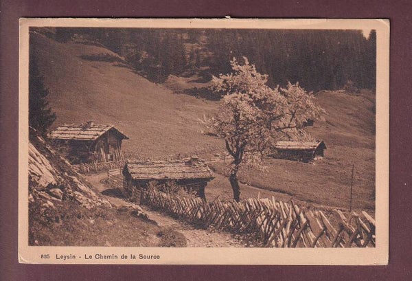 LEYSIN - Chemin de la Source - 1910