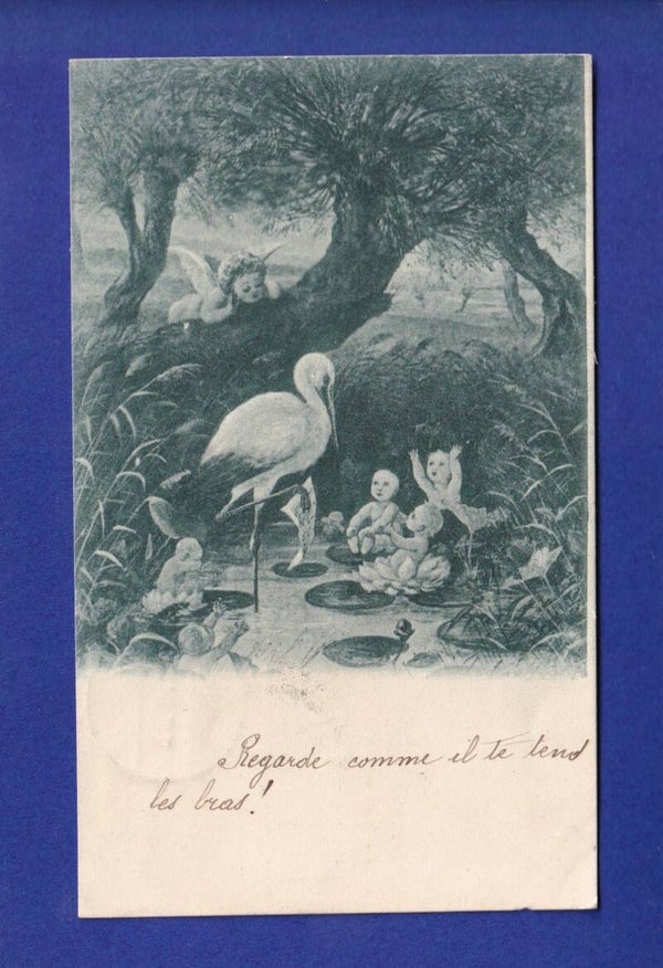 ENFANT - Cigogne et bébés