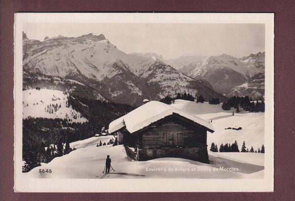 Environs de VILLARS - Skieur