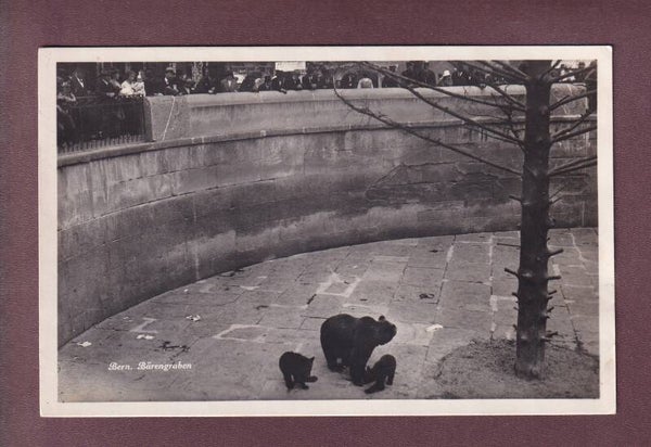 BERN - Bärengraben - Leute - 1925