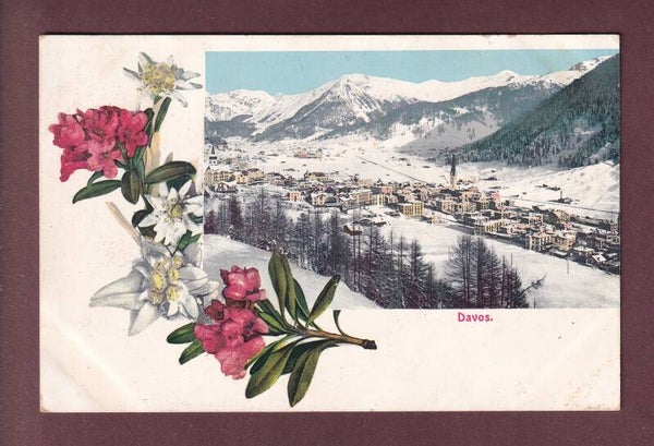 DAVOS - Blumen - 1908