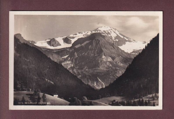 WILDHORN