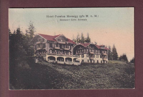 Hotel Pension MOOSEGG - 1908 Langstempel