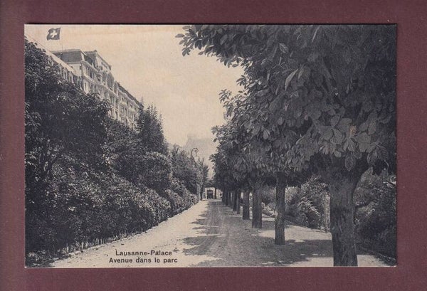 LAUSANNE - Palace - Avenue dans le parc