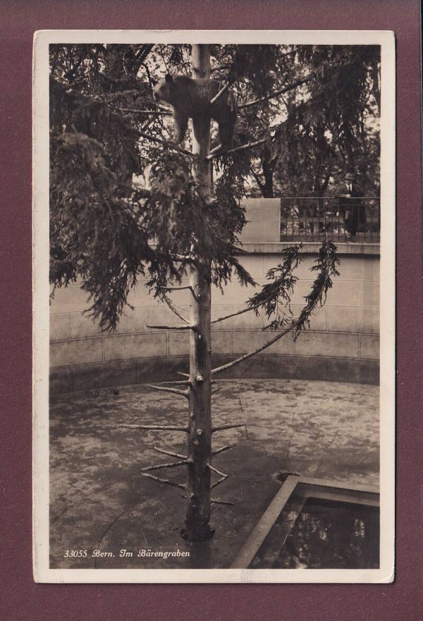 BERN - Bärengraben