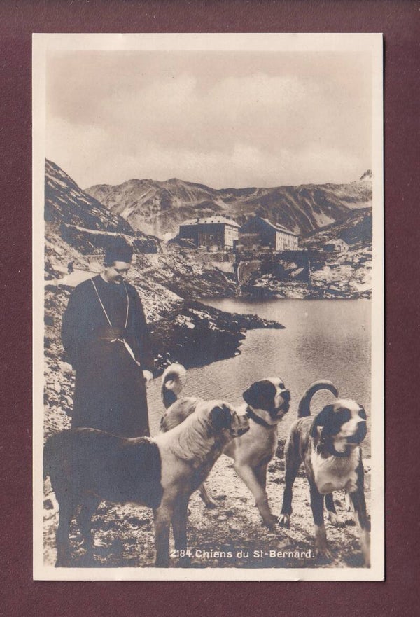 GRAND-SAINT-BERNARD - Maître et chiens