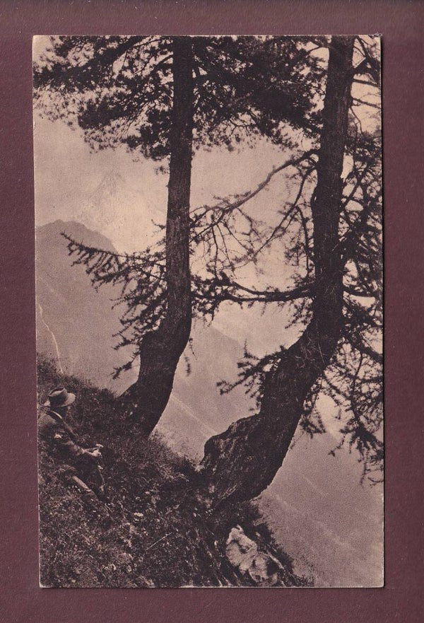 Zinal - Mélèzes à LIREC - Besso