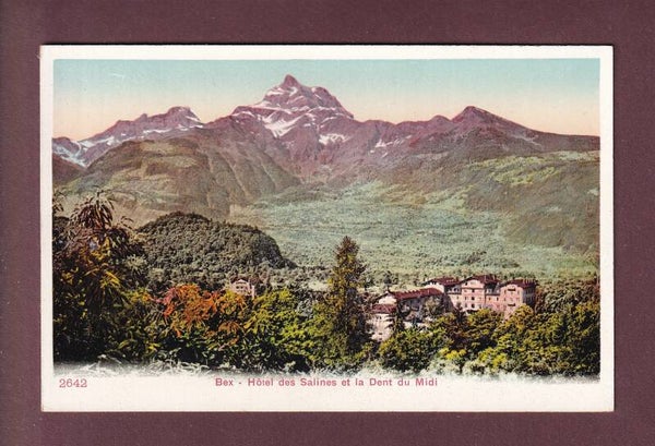 BEX - Hôtel des Salines - Dents du Midi