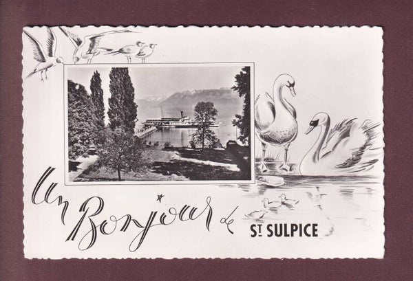Un Bonjour de SAINT SULPICE - Bateau CGN