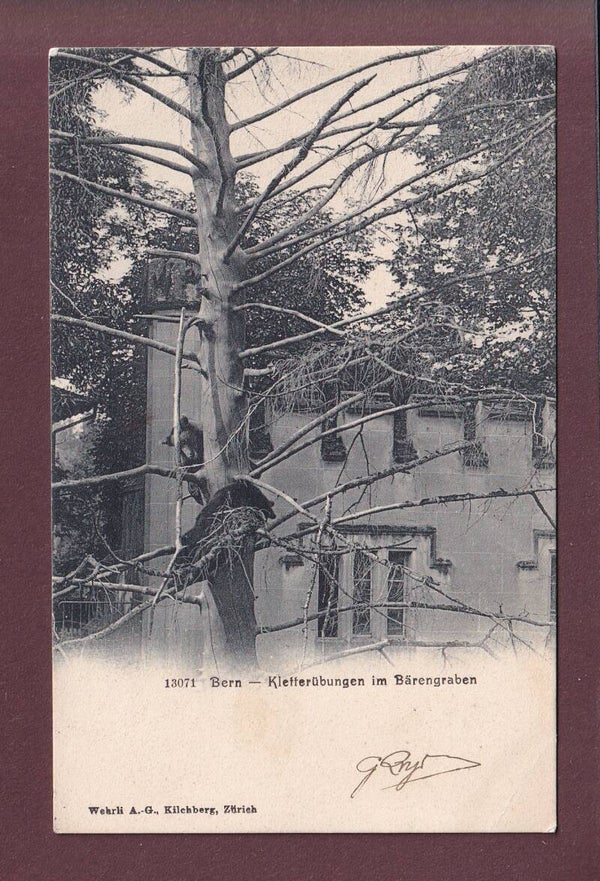 BERN - Bärengraben - 1912 // Eckbug //