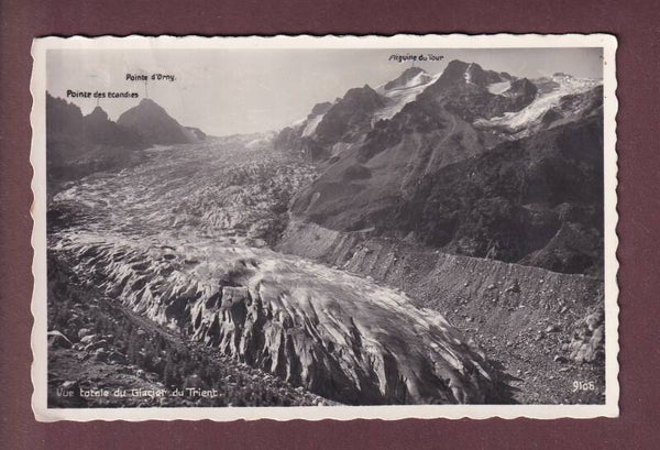 GLACIER DU TRIENT - 1951