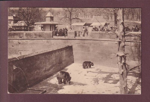BERN - Bärengraben - 1914 // Eckbug //