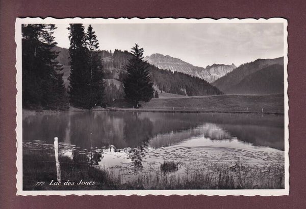 LAC DES JONCS