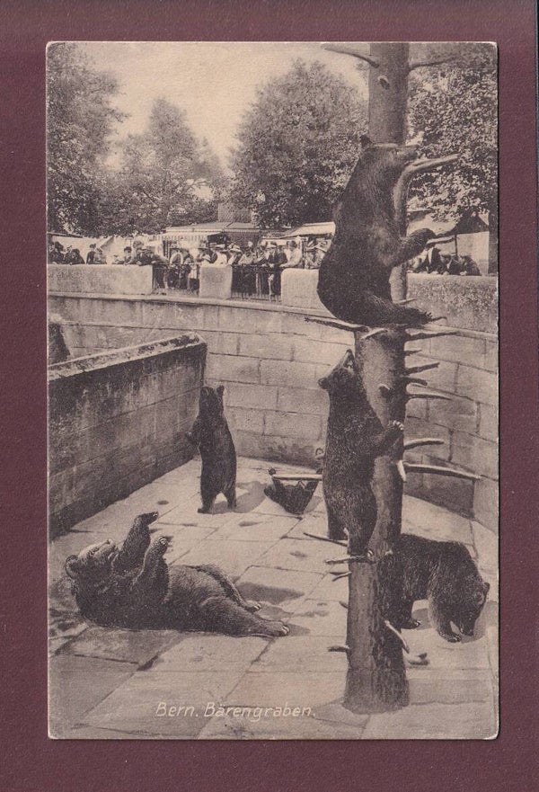 BERN - Bärengraben - 1913