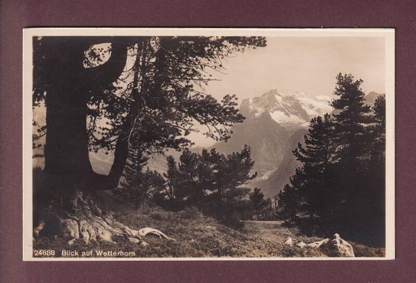 Blick auf WETTERHORN