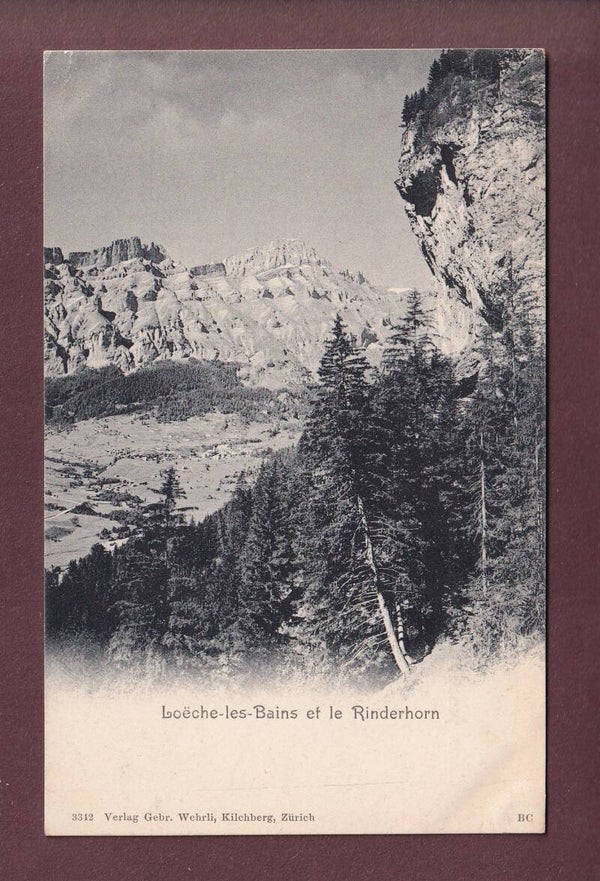 LOECHE-LES-BAINS - Rinderhorn