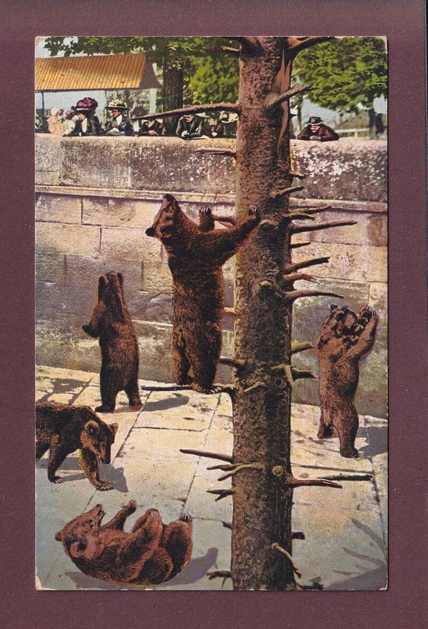 BERN - Bärengraben - 1918