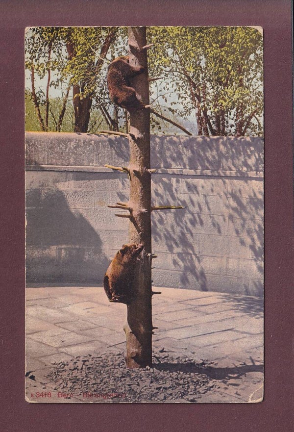 BERN - Bärengraben - 1915 // Eckbug //
