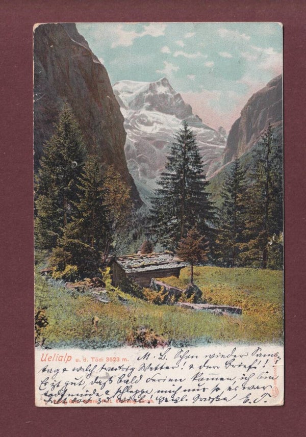 UELIALP - Tödi - 1903