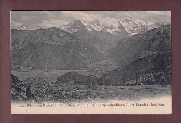 Blick vom AMISBÜHL auf Interlaken