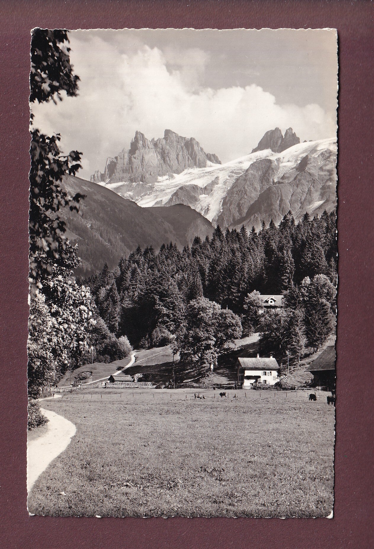 Am Professorenweg - ENGELBERG - Spannörter - 1963