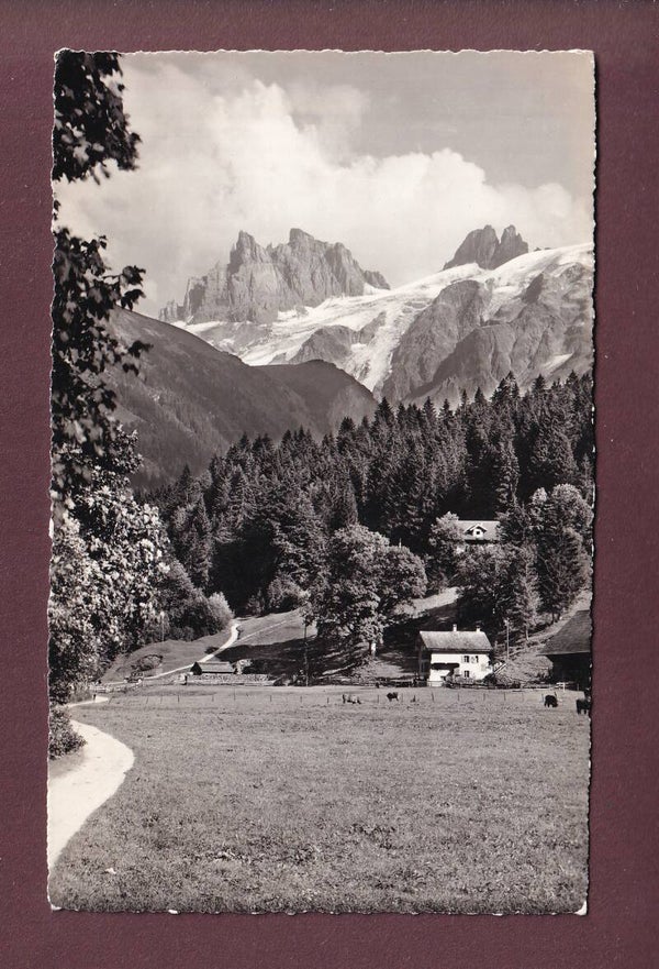 Am Professorenweg - ENGELBERG - Spannörter - 1963