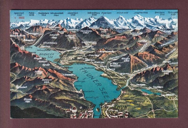 THUN und Umgebung - Vogelschau