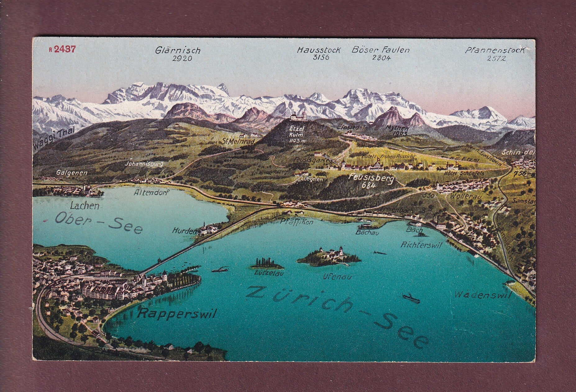 RAPPERSWIL und Umgebung - Vogelschau