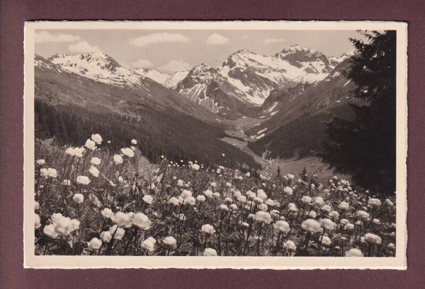 DAVOS - Clavadeler Alp - Blick ins Sertigtal - 1948