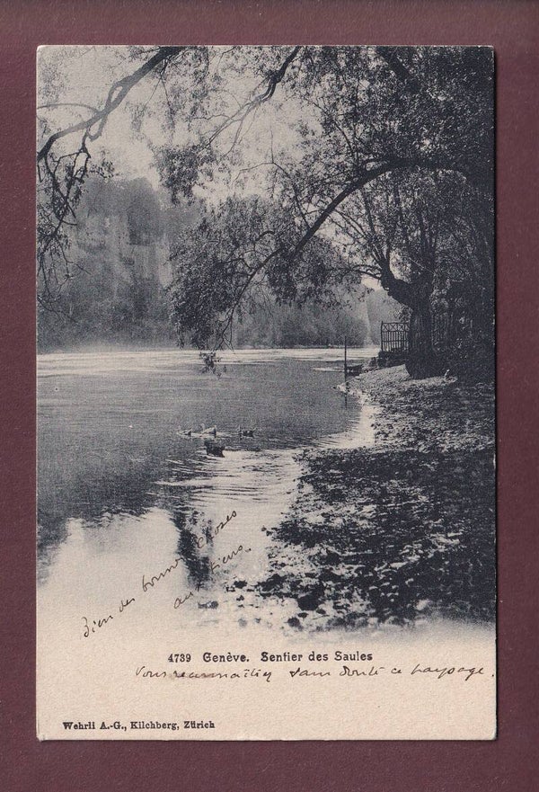 GENEVE - Sentier des Saules - 1907