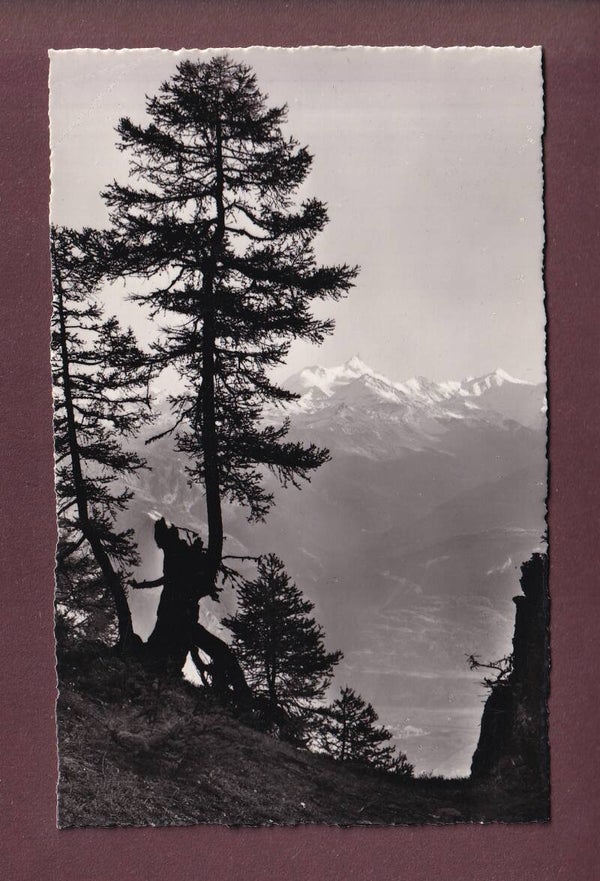 CRANS-SUR-SIERRE - 1952