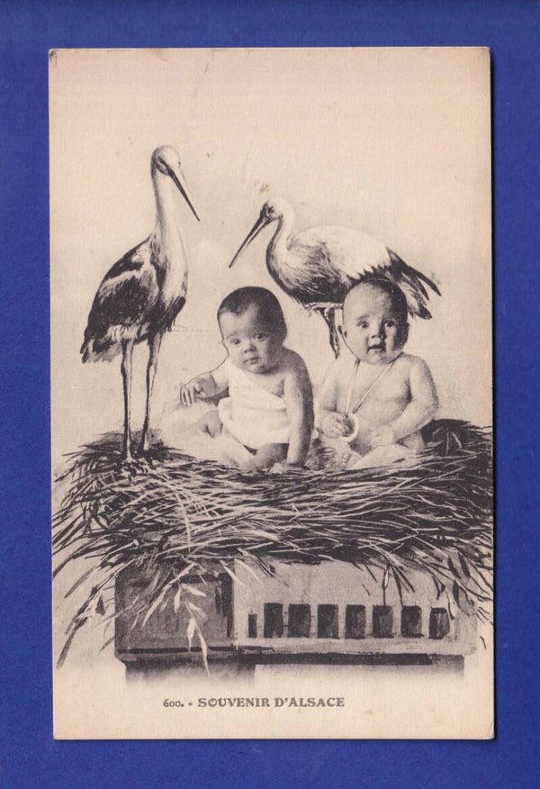 ENFANT - Bébés et cigognes - Alsace