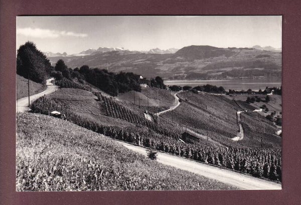 MÄNNEDORF - Lattenberg auf Stäfner Boden - 1967