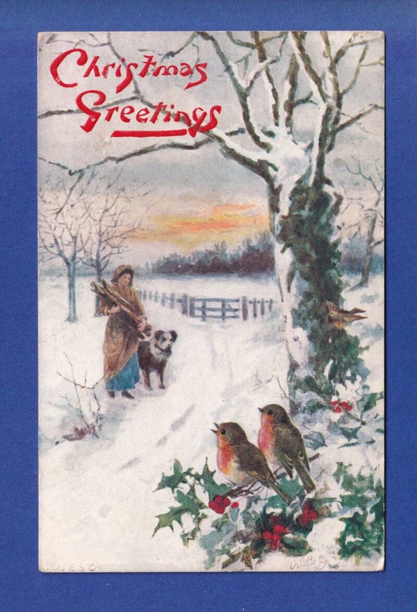 CHRISTMAS - Birds - Snow - 1909