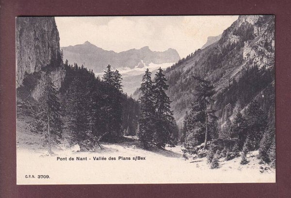 PONT DE NANT - Vallée des Plans sur Bex