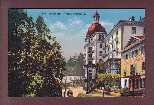 SEELISBERG - Hotel Sonnenberg