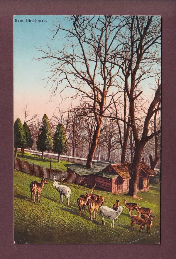 BERN - Hirschpark