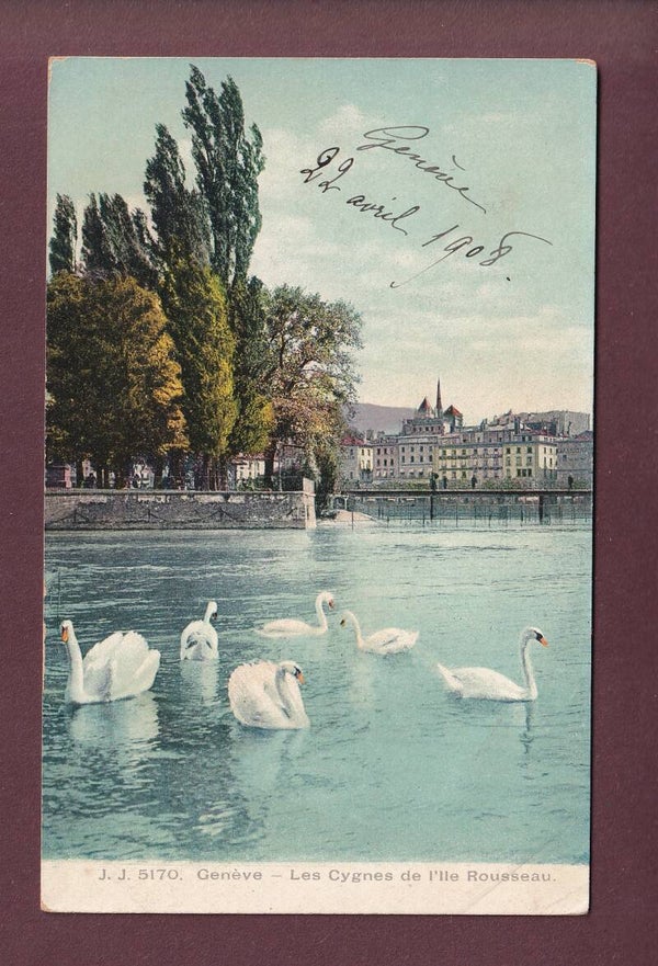 GENEVE - Cygnes et Île Rousseau