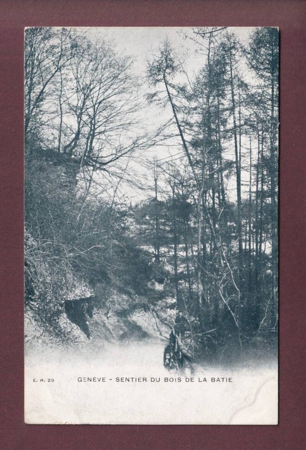 GENEVE - Sentier du Bois de la Batie